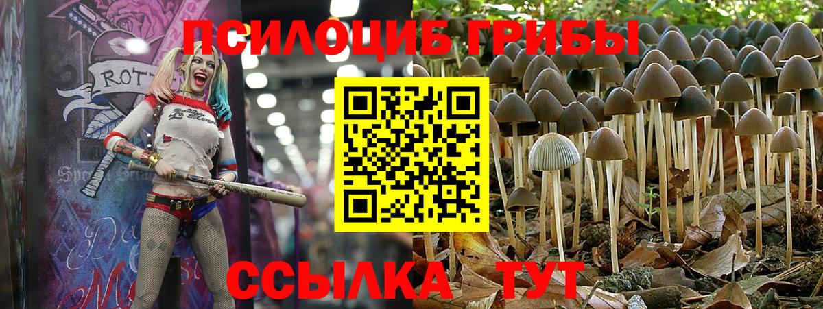 Воркута  Псилоцибиновые грибы MAGIC MUSHROOMS  Вход с VPN  Галлюциногенные грибы Magic Shrooms 